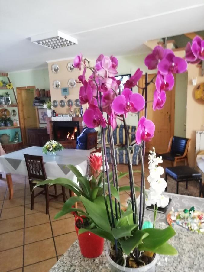 B&B Passo Del Falco Sorianello Ngoại thất bức ảnh